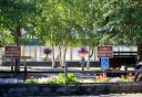 front entrance landscaping